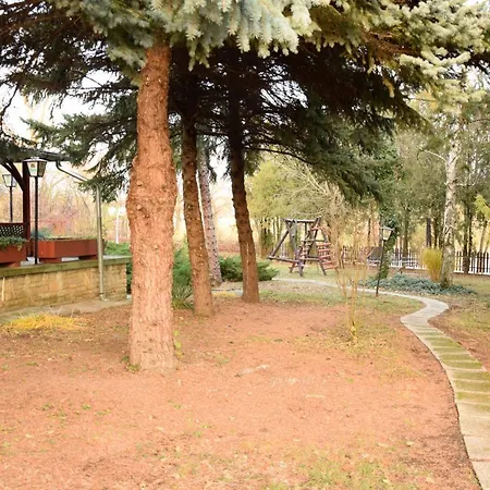 Guest house Fortuna Panzio 2*